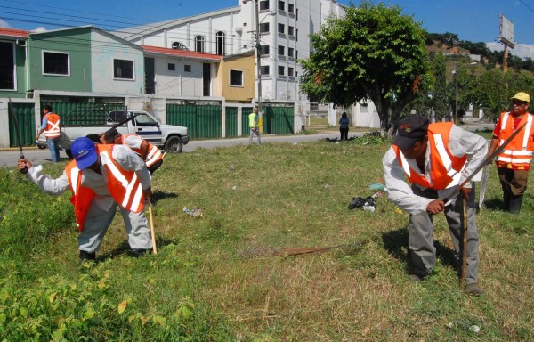 Comienzan a aplicar multas de L5,000 por solares baldíos sucios