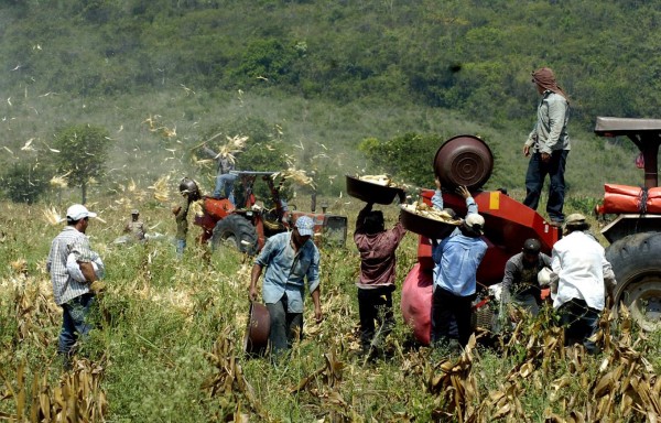 Gobierno de Honduras descarta revisión de salarios