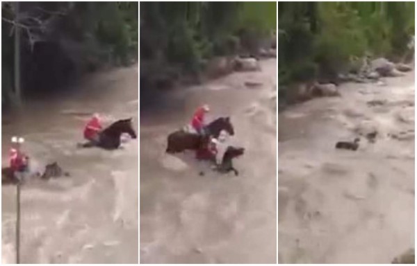 Video: campesino y su caballo son arrastrados por un río en Copán Ruinas