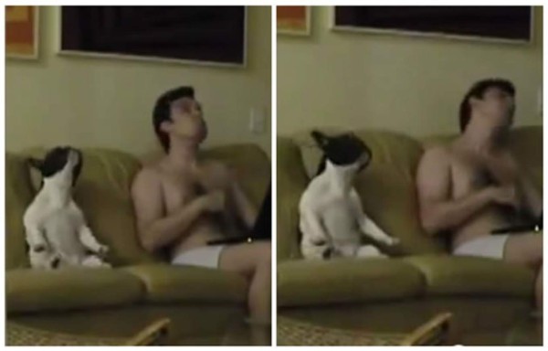 Video: El cachorro y su amo fueron grabados infraganti bailando