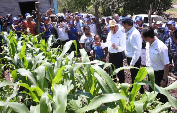 Presidente de Honduras supervisa proyecto para familias pobres de Santa Bárbara