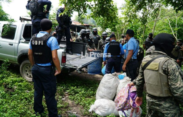 Enterrada hallan 350 libras de marihuana y cuatro fusiles