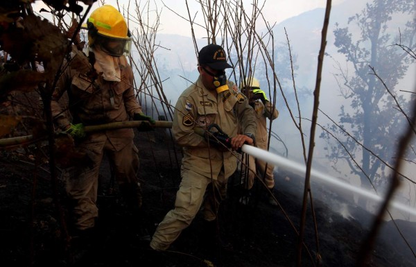 Controlan incendio forestal que quemó 420 hectáreas de pino en Honduras