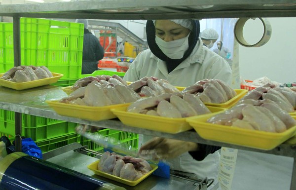 Expondrán ante el Comieco bloqueo al pollo hondureño