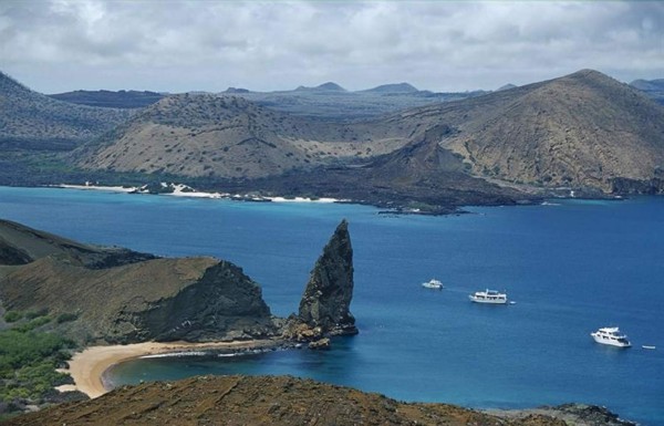 Más de 1,500 especies extrañas en Galápagos
