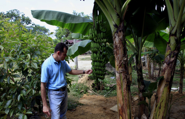 Honduras con potencial para cultivar cacao de alta calidad