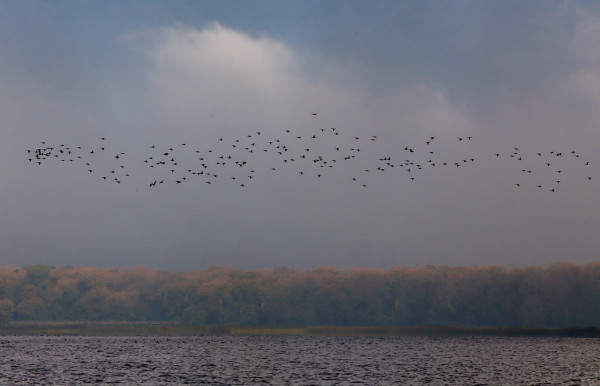 Un vistazo sobre los espejos del Lago de Yojoa