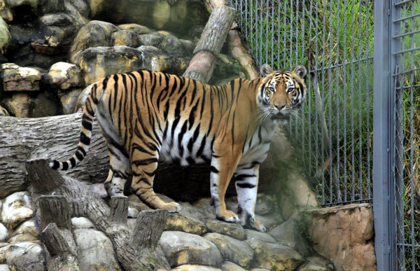 Zoológico Joya grande, un paraíso en crisis por falta de ingresos