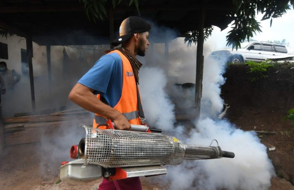 Piden unir esfuerzo para controlar el dengue en Honduras