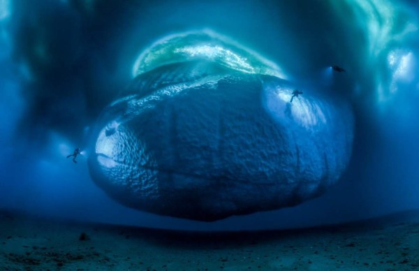 Premio a las mejores fotos de la naturaleza