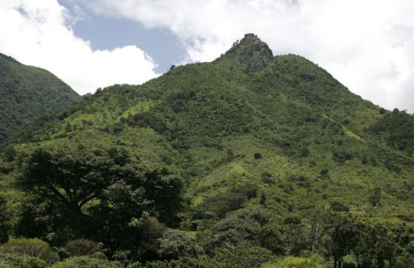 Reserva El Pital, bajo presión salvadoreña