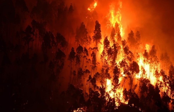 Portugal aún lucha por controlar el incendio