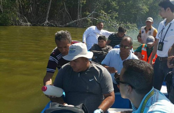 Investigan muerte de peces en laguna Los Micos en Tela