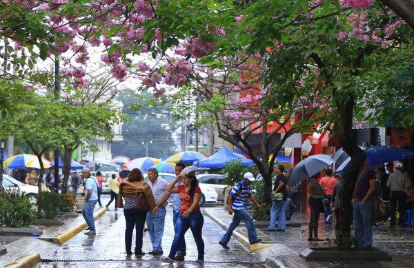 Temperatura desciende a 20 grados en San Pedro Sula