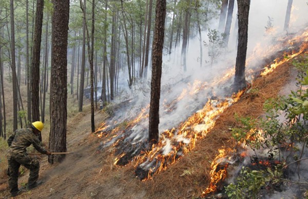 Seis grandes incendios asfixian la capital de Honduras