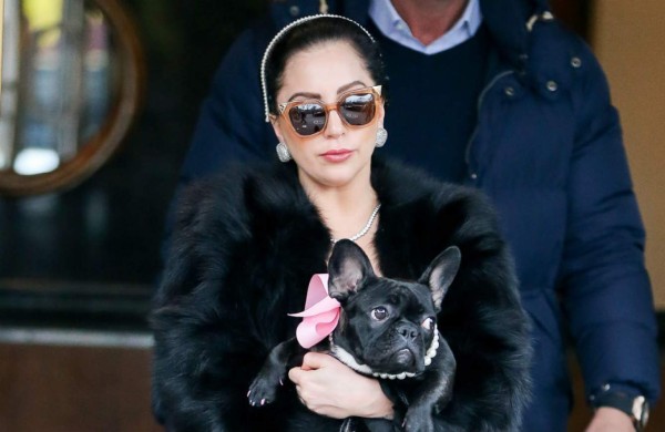 Lady Gaga diseñará una línea de ropa para perros