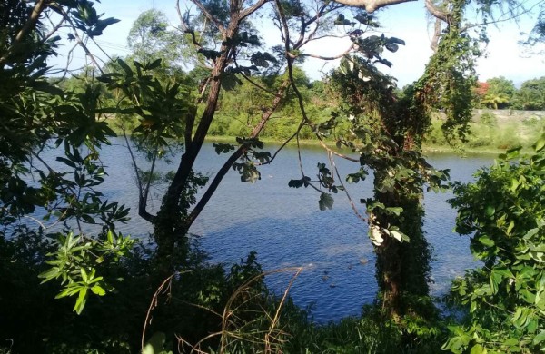 Encuentran cadáver flotando en río de La Ceiba