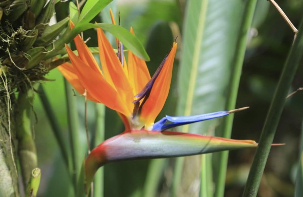 La otra cara multicolor de Siguatepeque