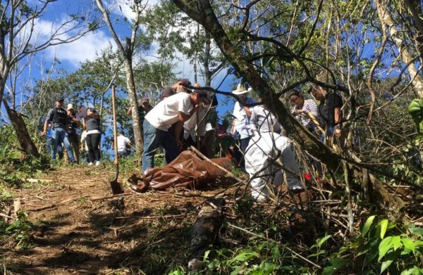 Hallan 3 cadáveres en cementerio clandestino en Peña Blanca