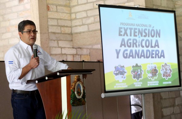 Crean programa para impulsar los sectores agrícolas