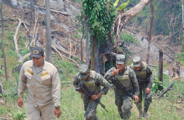 El fuego, el hacha y motosierras acaban con el 65% de la montaña Mico Quemado