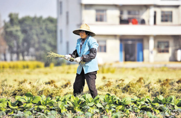 Los ganadores y perdedores del plan de reformas en China