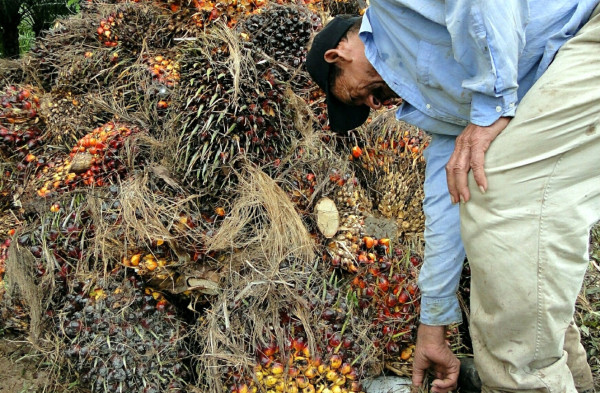 Multarán a empresas de El Progreso por no cumplir medidas ambientales