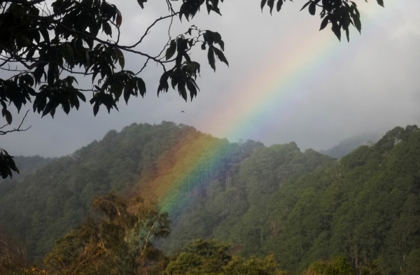 Explore el Cusuco, la joya natural que encuentra en El Merendón