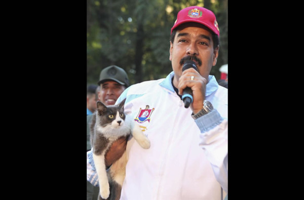 Nicolás Maduro adopta un gato rescatado de la calle