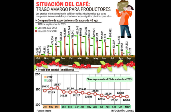 Productores de café buscan alternativas ante baja en los precios internacionales