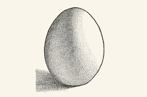 La cruzada de una ‘startup’ por reinventar el huevo
