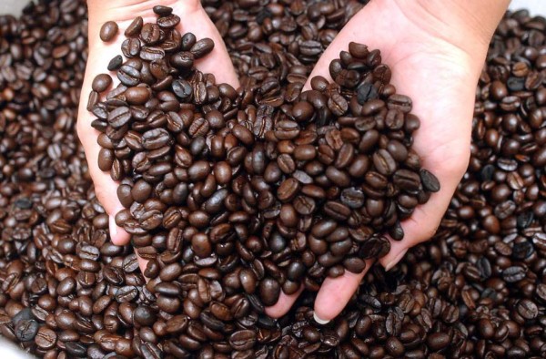 Exportaciones de café aumentan en $458.3 millones en cosecha 2016-2017