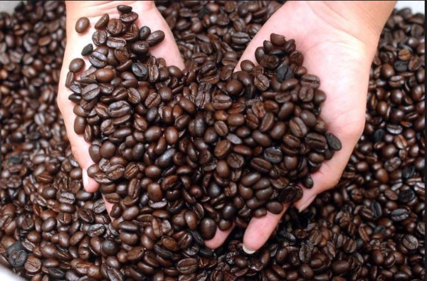 Precios de café no cubren costo de producción