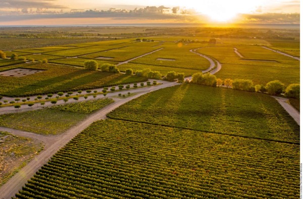 Mendoza, el paraíso del vino en Argentina