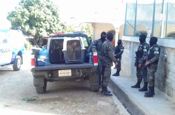 Con perros adiestrados buscan a pandilleros en La Ceiba