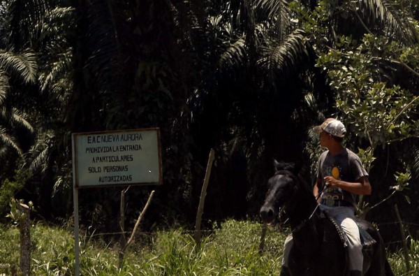 Unidad Especial investiga muertes violentas en el Bajo Aguán