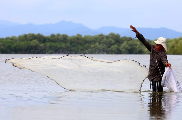 Empresa estadounidense de mariscos quiere comprar tilapia a productores artesanales