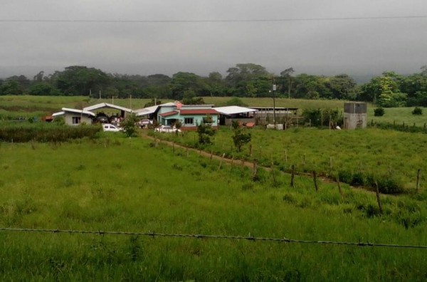 Ultiman a balazos a un ganadero en el norte de Honduras