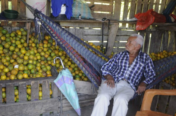 Sonaguera, la capital del cítrico y la fe mariana