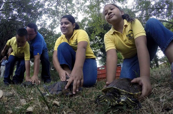 Funapa devuelve a su hábitat a 17 animales