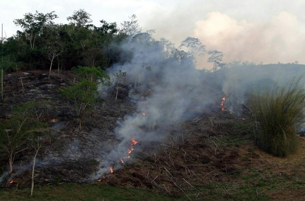 Pobladores y autoridades se unen para prevenir incendios forestales en Morazán