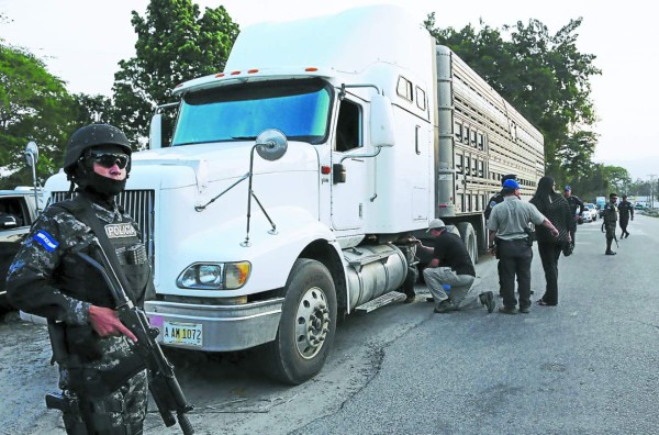 Rastra transportaba 743 kilos de cocaína entre toros y terneros