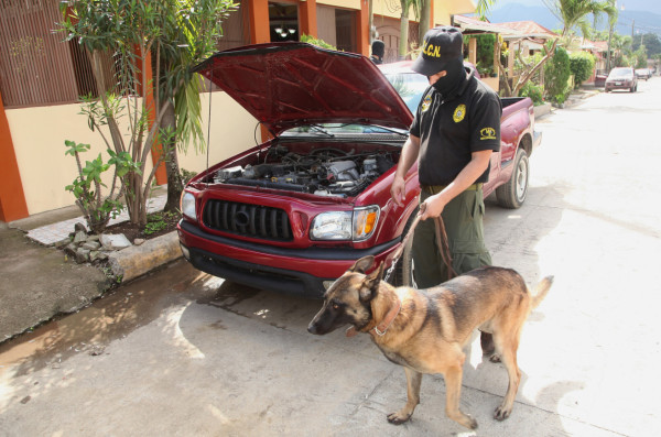 Allanan 22 propiedades en Operación Shalom en el norte de Honduras