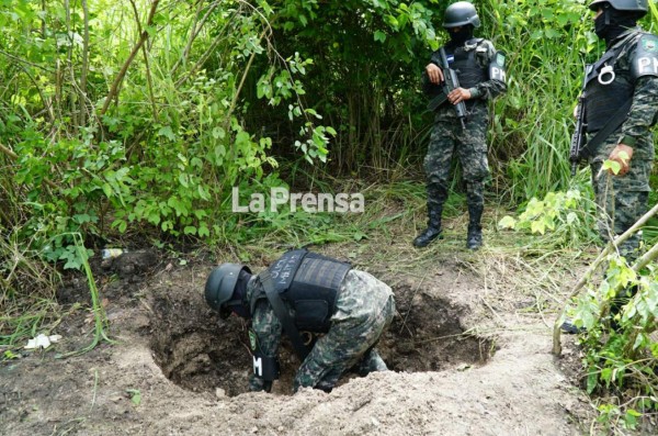 Enterrada hallan 350 libras de marihuana y cuatro fusiles