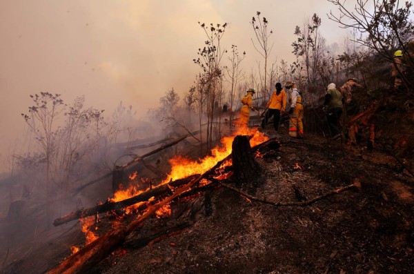 Diez incendios activos arrasan con los bosques en Honduras