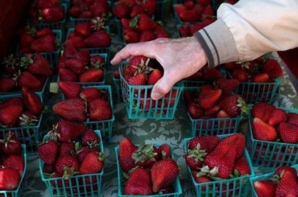 Incautan cocaína oculta en fresas congeladas en Colombia