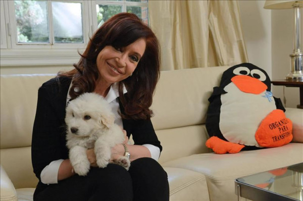 Cristina Fernández reaparece en video con su nuevo perro 'chavista'