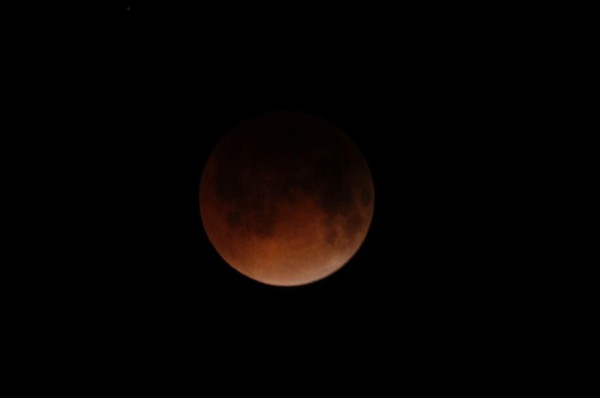 Por cuatro horas, el mundo se maravilló viendo al cielo