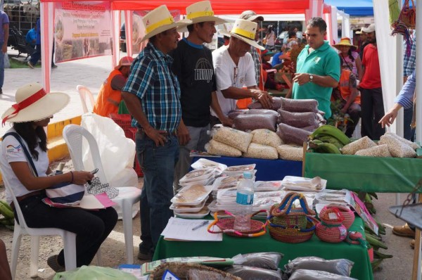 Forestería comunal permite agronegocios a cooperativas