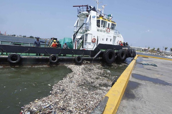 Un cocodrilo venía en basura que llega a playas de Omoa